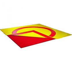 Tapis de lutte/judo college reversible