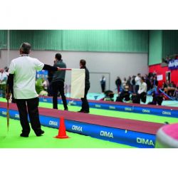 Piste de course surelevee avec planche d'appel integree element de longueur 2.50m x largeur 1.22 m