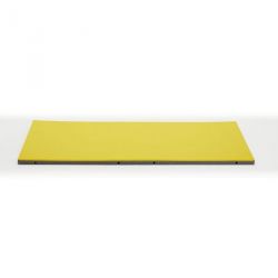 TATAMI JUDO I.J.F. COMPÉTITION HOMOLOGUE - 200X100X5CM - DIMASPORT