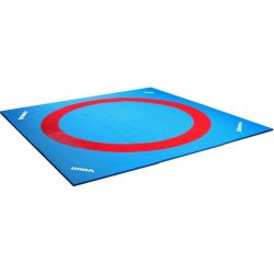 Tapis de lutte college