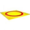 Tapis de lutte/judo college reversible