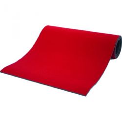 Tapis de lutte/judo college reversible