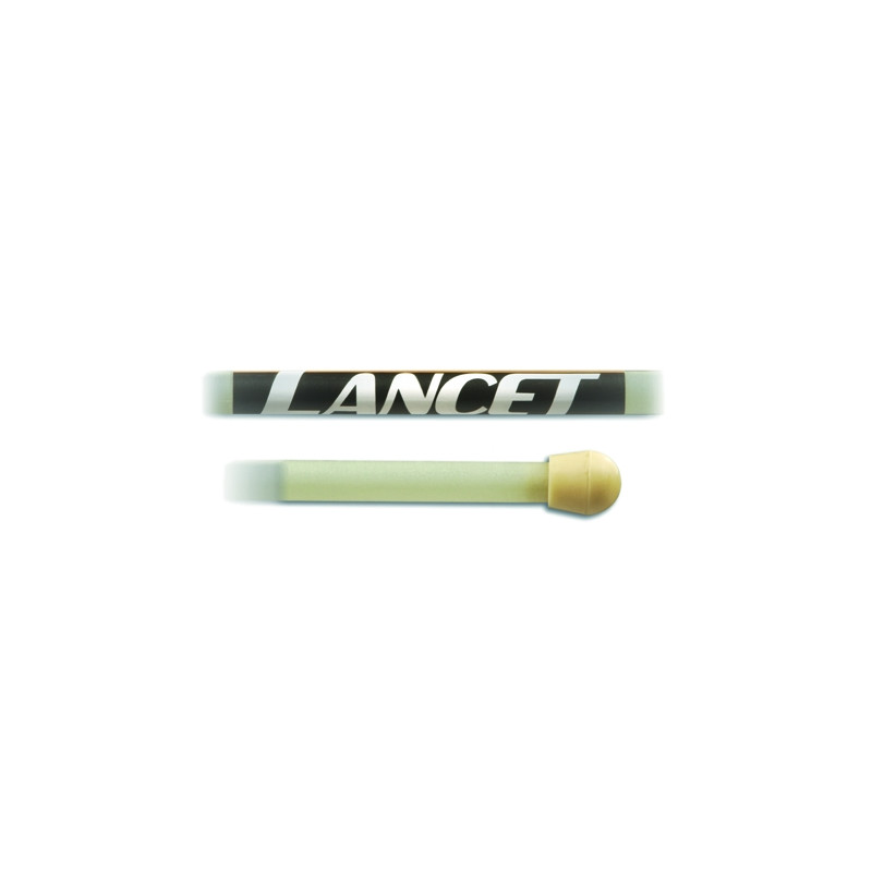 Perche fibre de verre initiation dima lancet 2.70m