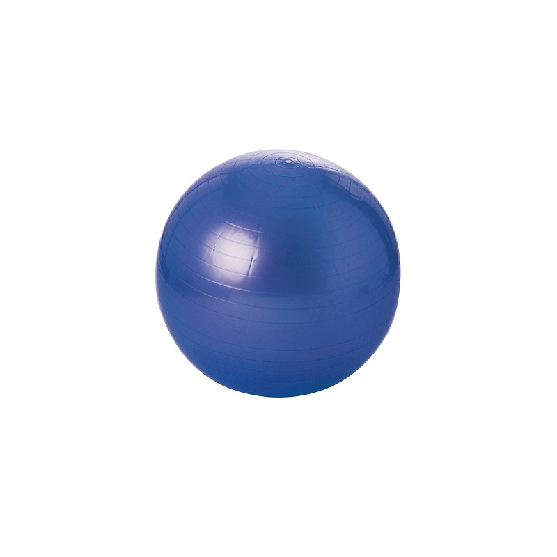 Balle gymnique swiss ball