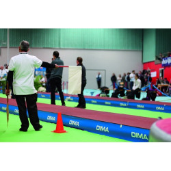 Piste de course surelevee avec planche d'appel integree element de longueur 2.50m x largeur 1.22 m