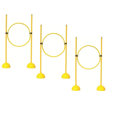 CERCEAUX POUR VISÉE / CIBLE DE LANCER - LOT DE 3 - DIMASPORT
