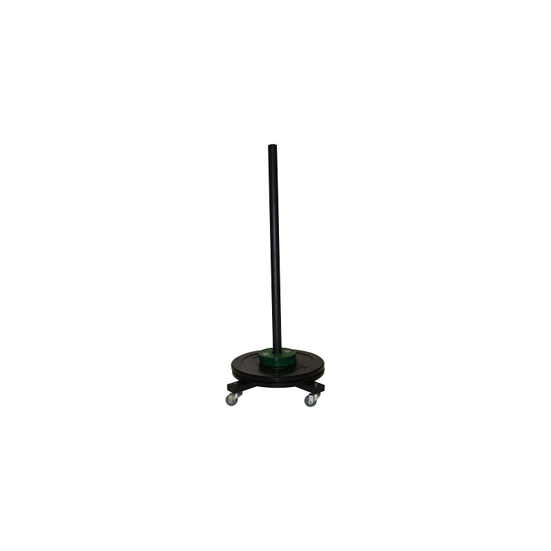 SUPPORT DE RANGEMENT DE DISQUE DE MUSCULATION SUR ROULETTE -DIMASPORT