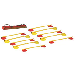 HAIE MULTIFONCTION SOUCOUPESLOT DE 10