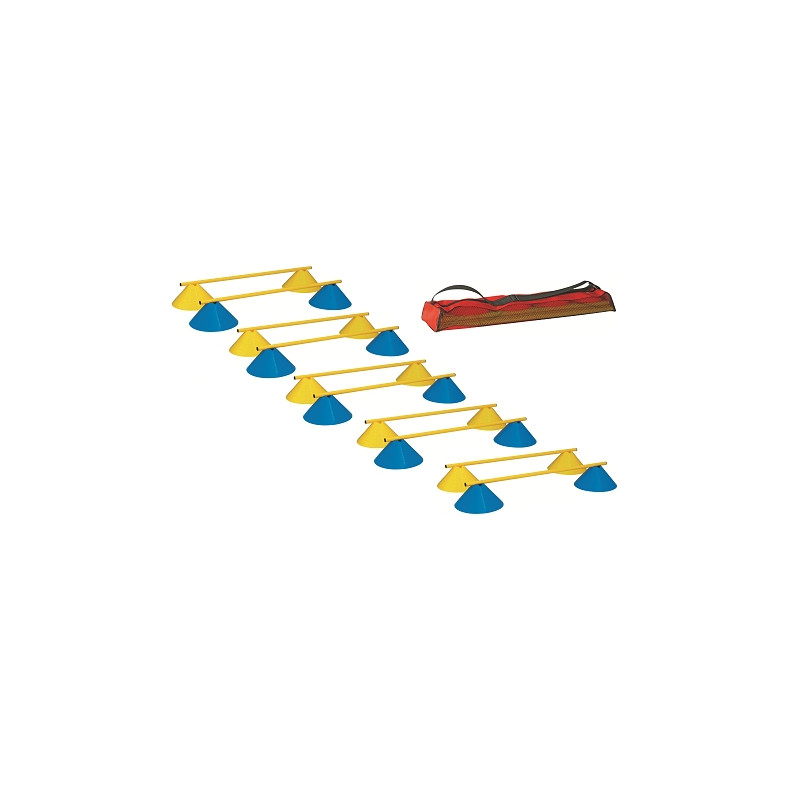 Haie multi fonction soucoupes hauteur 5cmlot de 10