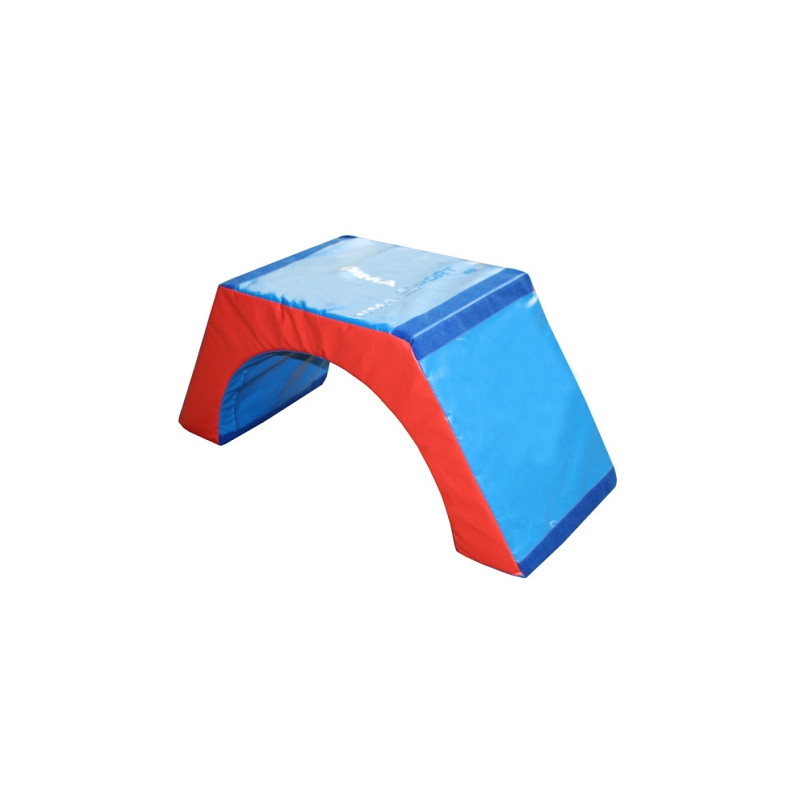 BRIDGE FOAM MODULE